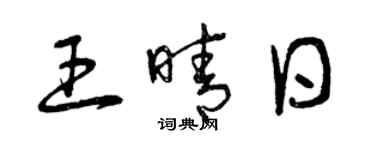 曾慶福王晴日草書個性簽名怎么寫