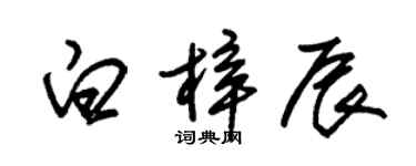 朱錫榮白梓辰草書個性簽名怎么寫