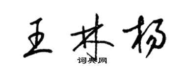 梁錦英王林楊草書個性簽名怎么寫