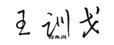 駱恆光王訓戈草書個性簽名怎么寫