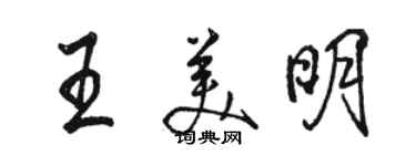 駱恆光王美明行書個性簽名怎么寫