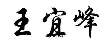 胡問遂王宜峰行書個性簽名怎么寫