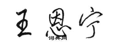 駱恆光王恩寧行書個性簽名怎么寫