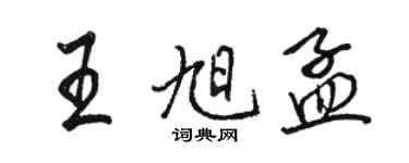 駱恆光王旭孟行書個性簽名怎么寫