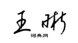 梁錦英王晰草書個性簽名怎么寫
