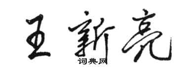駱恆光王新亮行書個性簽名怎么寫