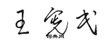 駱恆光王憲民草書個性簽名怎么寫