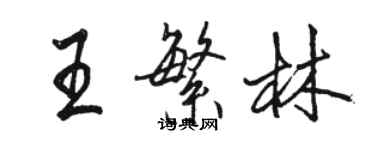 駱恆光王繁林行書個性簽名怎么寫