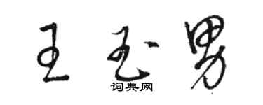 駱恆光王玉男草書個性簽名怎么寫