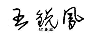 朱錫榮王銳鳳草書個性簽名怎么寫