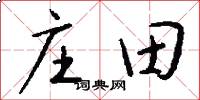 莊田怎么寫好看