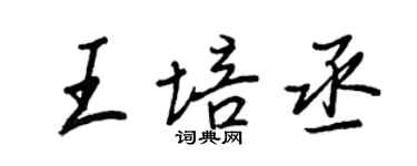 王正良王培丞行書個性簽名怎么寫