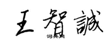 王正良王智誠行書個性簽名怎么寫