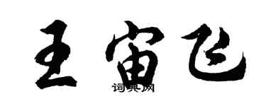 胡問遂王宙飛行書個性簽名怎么寫