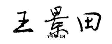 曾慶福王景田行書個性簽名怎么寫