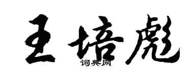胡問遂王培彪行書個性簽名怎么寫
