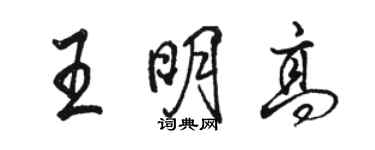 駱恆光王明高行書個性簽名怎么寫