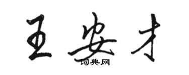 駱恆光王安才行書個性簽名怎么寫