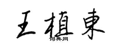 王正良王植東行書個性簽名怎么寫