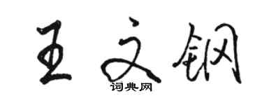 駱恆光王文鋼行書個性簽名怎么寫