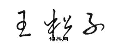 駱恆光王松子草書個性簽名怎么寫