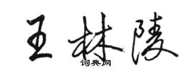 駱恆光王林陵行書個性簽名怎么寫