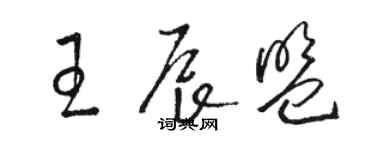 駱恆光王辰盟草書個性簽名怎么寫