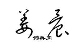 梁錦英姜晨草書個性簽名怎么寫