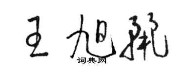 駱恆光王旭麗草書個性簽名怎么寫