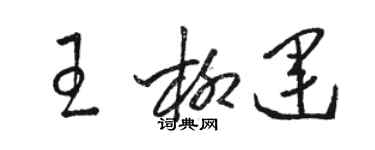 駱恆光王柳運草書個性簽名怎么寫