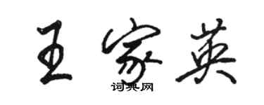 駱恆光王家英行書個性簽名怎么寫