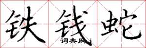 丁謙鐵錢蛇楷書怎么寫