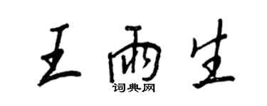 王正良王雨生行書個性簽名怎么寫