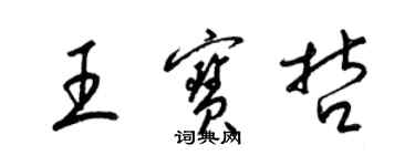 梁錦英王寶哲草書個性簽名怎么寫