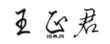 駱恆光王正君行書個性簽名怎么寫