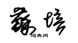 朱錫榮蘇培草書個性簽名怎么寫