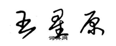 朱錫榮王星原草書個性簽名怎么寫