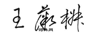 駱恆光王薇椒草書個性簽名怎么寫