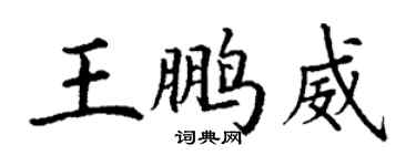 丁謙王鵬威楷書個性簽名怎么寫