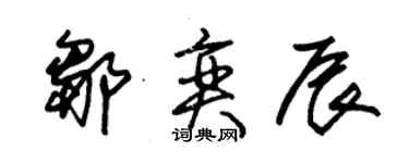 朱錫榮鄒奕辰草書個性簽名怎么寫