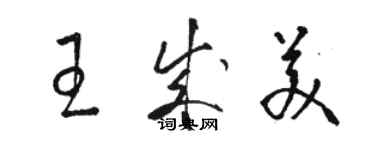 駱恆光王成美草書個性簽名怎么寫