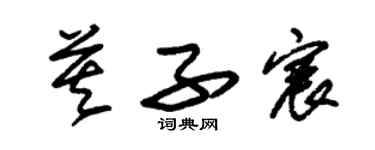 朱錫榮莫子宸草書個性簽名怎么寫