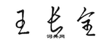駱恆光王長全草書個性簽名怎么寫