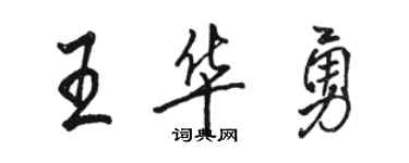 駱恆光王華勇行書個性簽名怎么寫