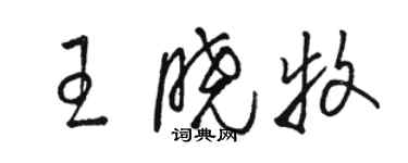 駱恆光王曉牧草書個性簽名怎么寫