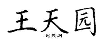 丁謙王天園楷書個性簽名怎么寫