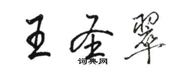 駱恆光王聖翠行書個性簽名怎么寫