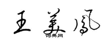 梁錦英王美鳳草書個性簽名怎么寫