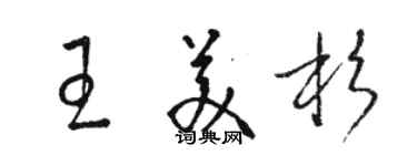 駱恆光王美杉草書個性簽名怎么寫