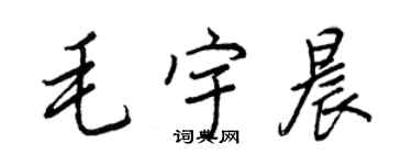 王正良毛宇晨行書個性簽名怎么寫